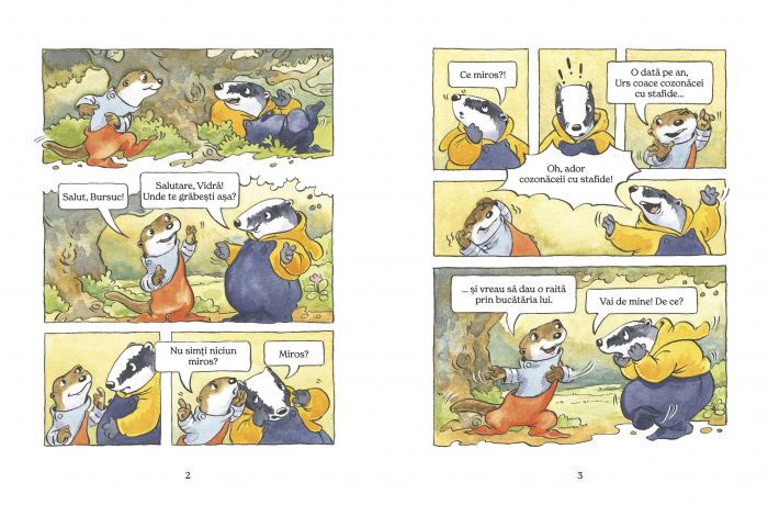 Cozonăcei cu stafide, de Diana Tivu [5]