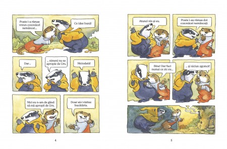 Cozonăcei cu stafide, de Diana Tivu [3]