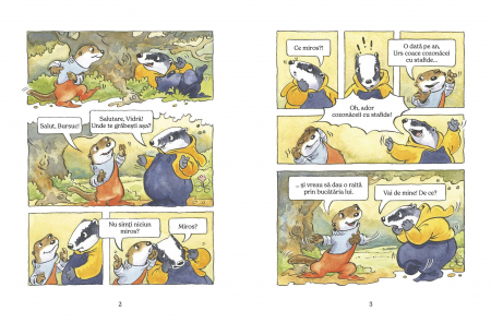 Cozonăcei cu stafide, de Diana Tivu [4]