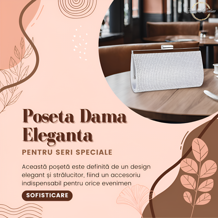 Poseta dama eleganta, argintie, cu lantisor argintiu, 225x50x100mm [3]