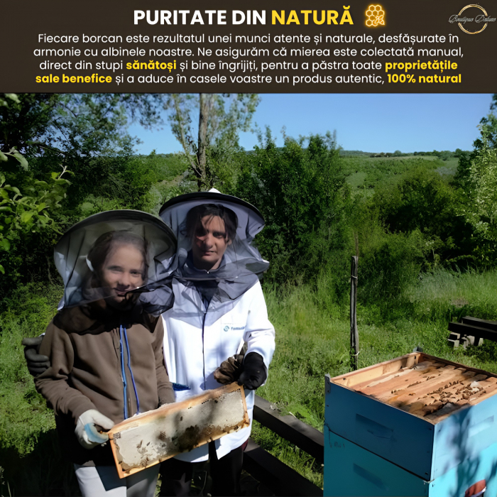 Set 3 Borcane Miere Naturala, 2250 Grame, Salcam, Tei, Poliflora, Bat Miere Spiralat, Borcanel Cu Capaceala, Cadou Perfect Santos, Produs Apicol Autentic si Pur Direct din Stup, Boutique Deluxe [7]
