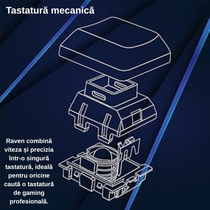 Tastatura mecanica gaming DR1TECH Raven Mechanical TKL, PC/PS4, iluminare RGB, 87 de taste anti-ghosting , cablu USB [4]