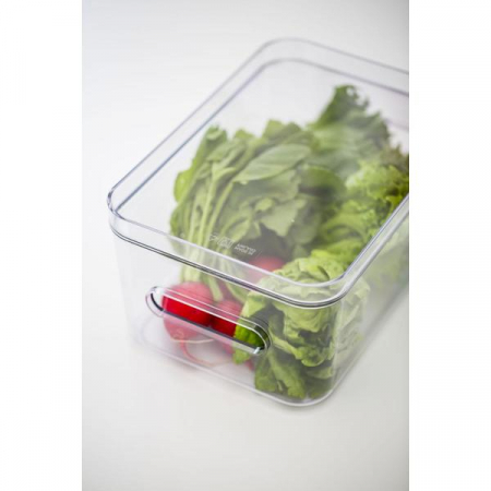 Capac pentru cutia de depozitare SmartStore Compact Clear L, 40x29.5x2.6 cm [3]