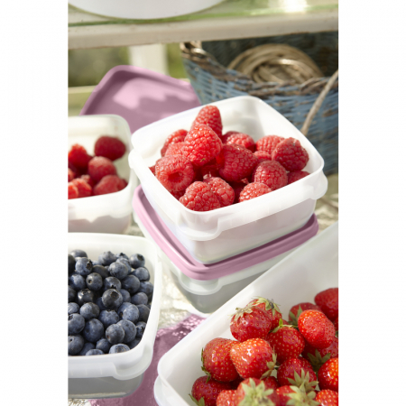 Set 5 cutii Freez SmartStore, 0.5L [2]