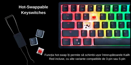 Tastatura Mecanica Gaming, G.Skill KM250 RGB 65% (67-Taste), RGB LED, cablu USB Tip C, Negru [5]
