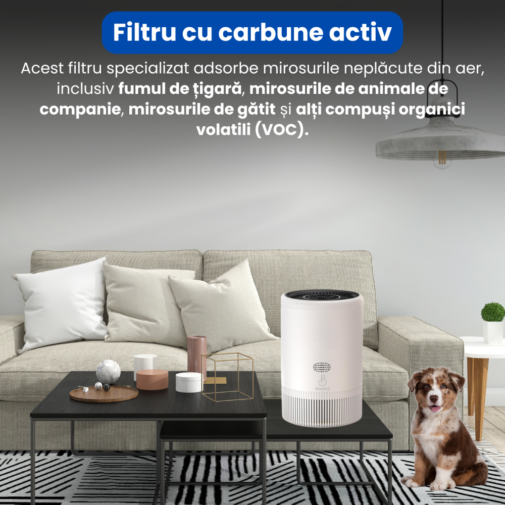 Purificator de aer BRAGUS, control inteligent prin Wi-Fi, ecran digital, mod special pentru somn, purificare rapida, filtru de carbon activ, filtrare 3in1 HEPA H13, Alexa, Google Home, alb [7]