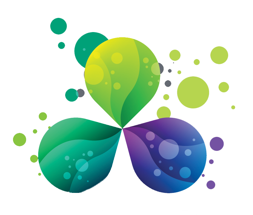 Icon 1