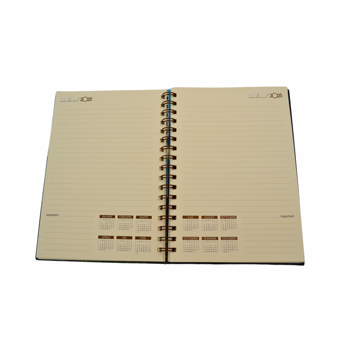 Agenda spira nedatata ASN ivory [4]