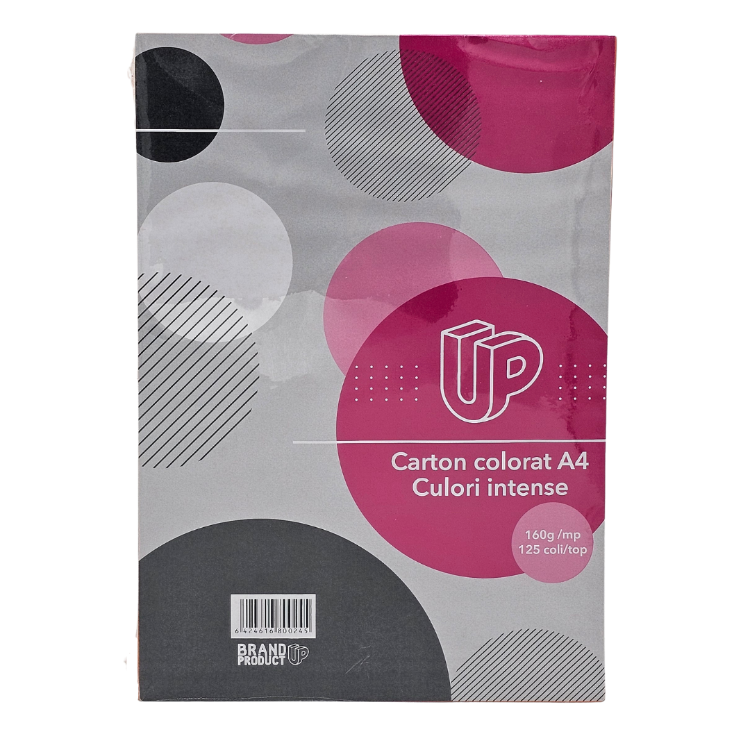 Carton colorat A4 160g/mp 125 file culori intense [3]
