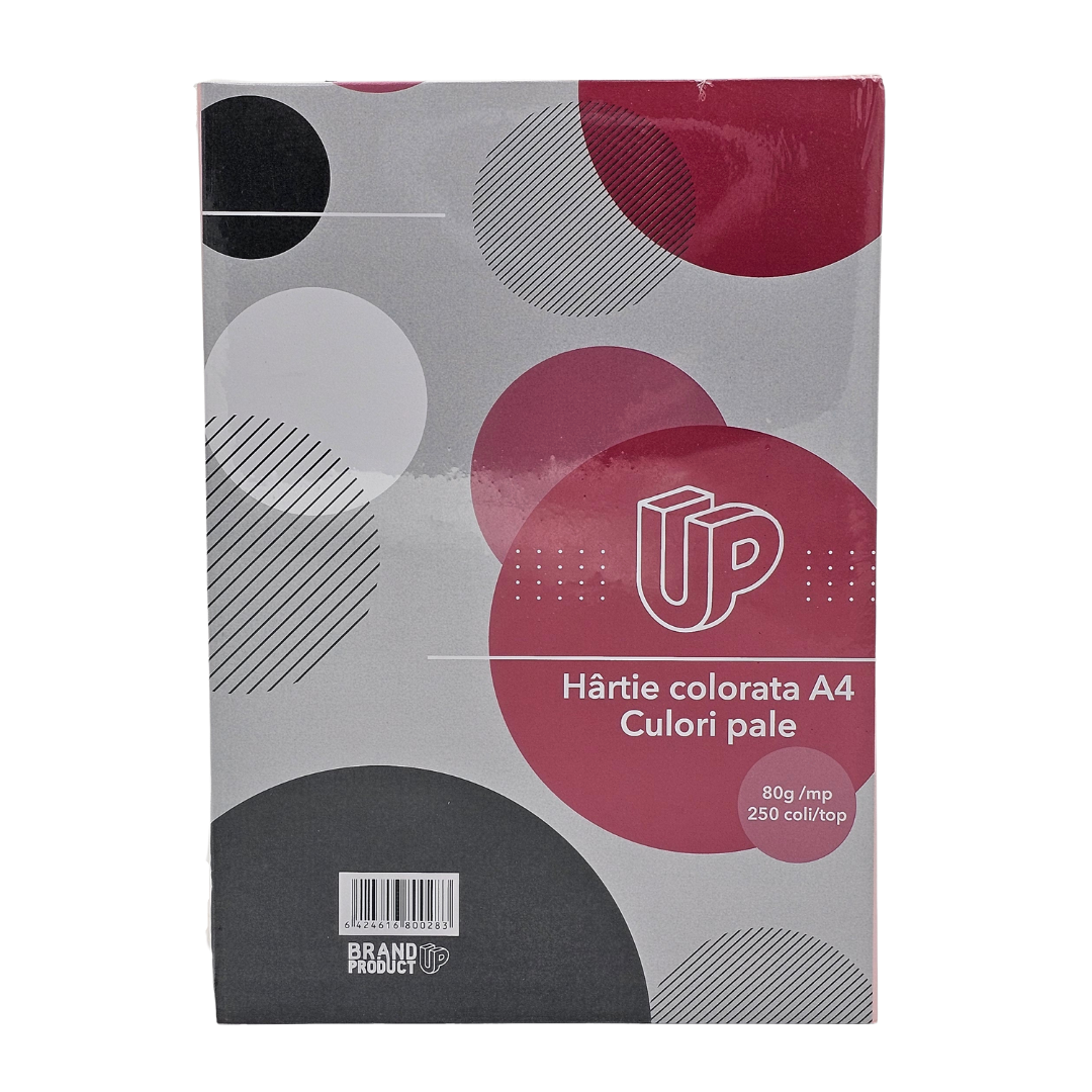 Hartie colorata A4 80g/mp 250 file culori pale [2]