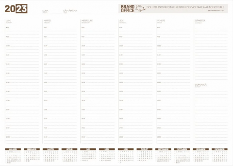 Agende, calendare si plannere - Planner birou suport rigid 45X32cm