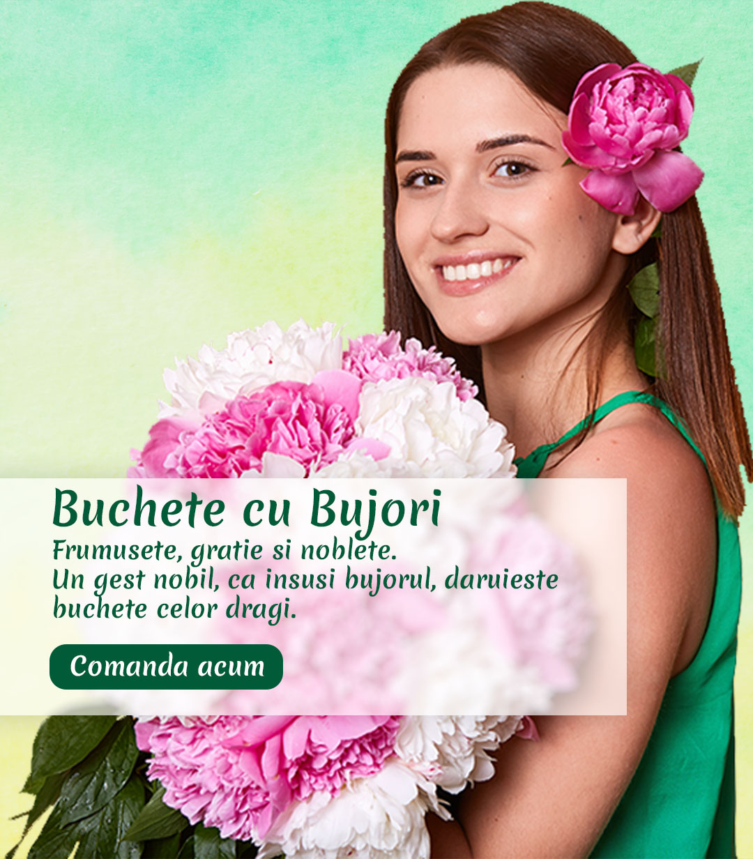 Buchete cu bujori