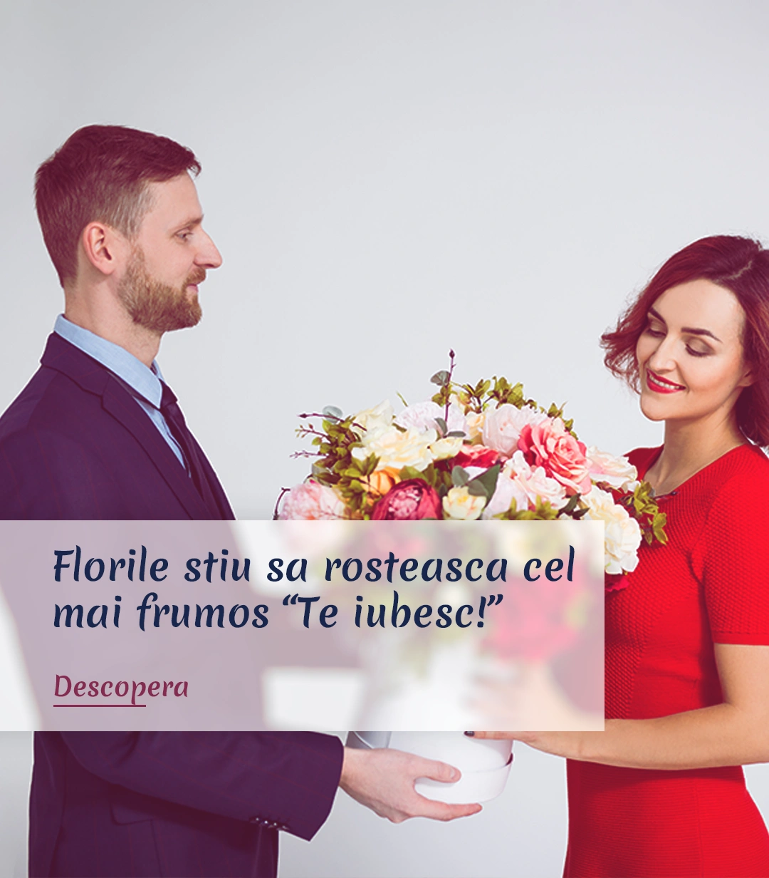 Florile Mobile 2