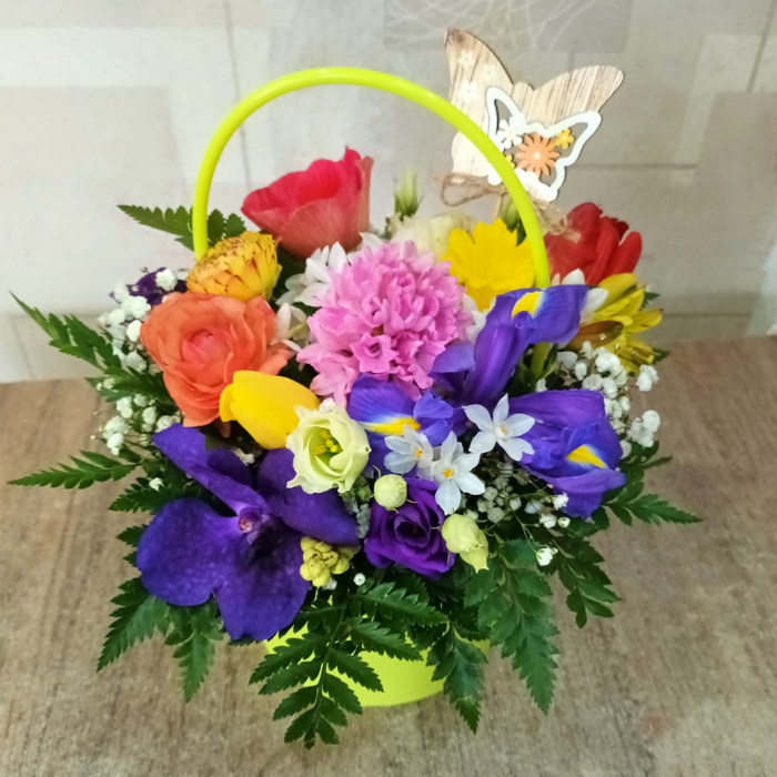 Cutie de Primavara [2]