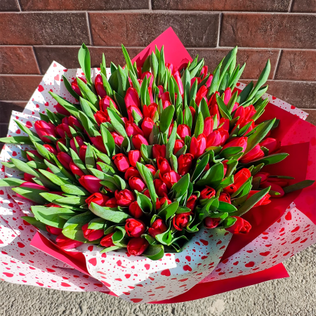 Flori de Primavara - Buchet 150 Lalele Rosii