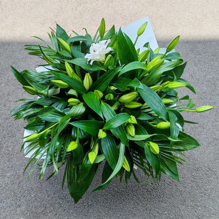 Buchete de Flori - Buchet de 15 Crini Imperiali Albi