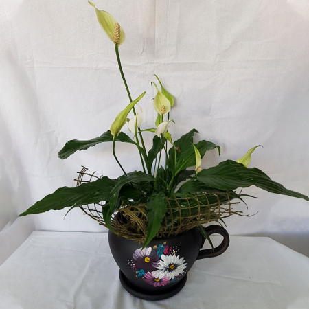 Plante - Spathyphllium in Cana Ceramică Pictată Manual