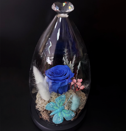 Trandafiri Criogenati - Trandafir albastru criogenat in cupola