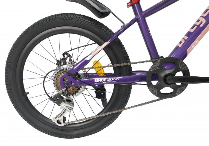 Bicicleta BR S2001  Inspire 20'' 7 viteze, varsta 6-9 ani Shimano Mov - Copie [6]