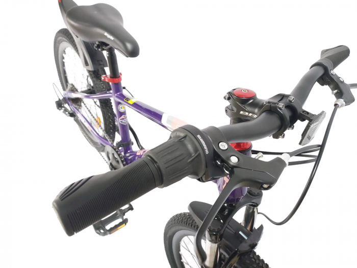 Bicicleta BR S2001  Inspire 20'' 7 viteze, varsta 6-9 ani Shimano Mov [7]