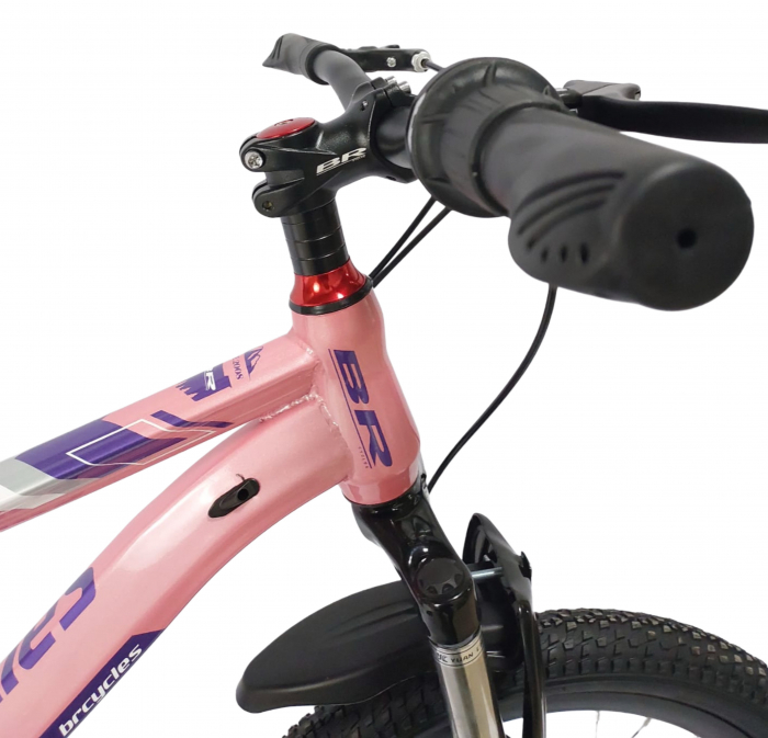Bicicleta BR S2001 Inspire 20'' 7 viteze, varsta 6-9 ani,Shimano Roz [3]