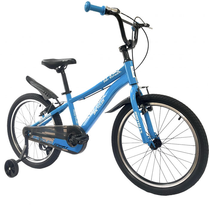 Bicicleta BR S2002 Neptune 20'' single viteze, varsta 6-9 ani,Albastru [2]