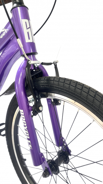 Bicicleta BR S2002 Neptune 20'' single viteze, varsta 6-9 ani, Mov [4]