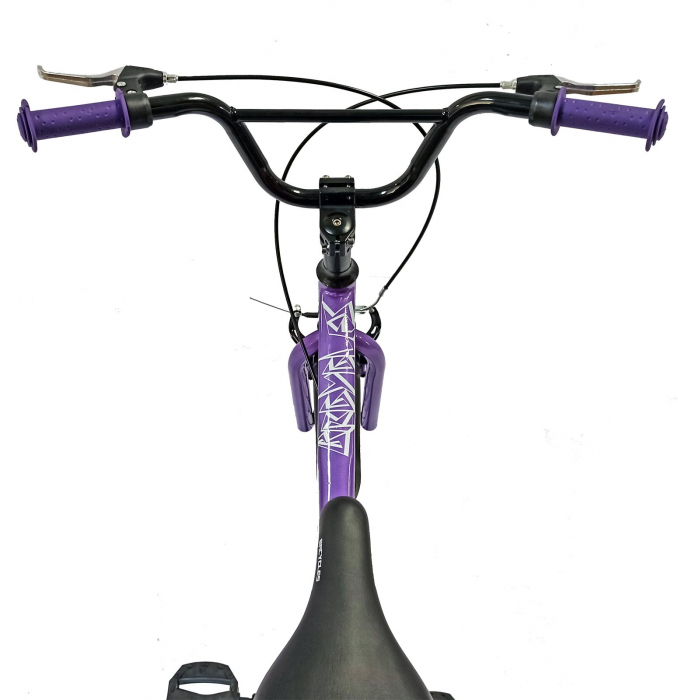 Bicicleta BR S2002 Neptune 20'' single viteze, varsta 6-9 ani, Mov [6]