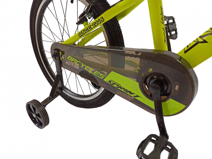 Bicicleta BR S2002 Neptune 20'' single viteze,varsta 6-9 ani  Verde [10]