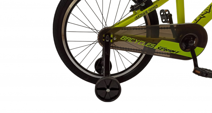Bicicleta BR S2002 Neptune 20'' single viteze,varsta 6-9 ani  Verde [5]