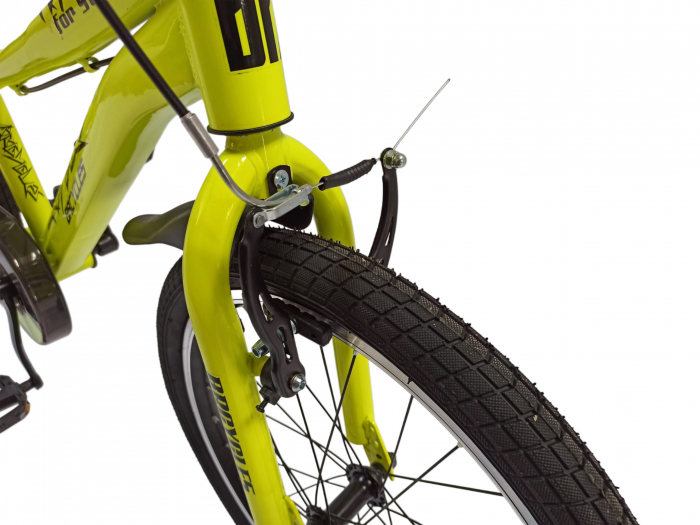 Bicicleta BR S2002 Neptune 20'' single viteze,varsta 6-9 ani  Verde [8]
