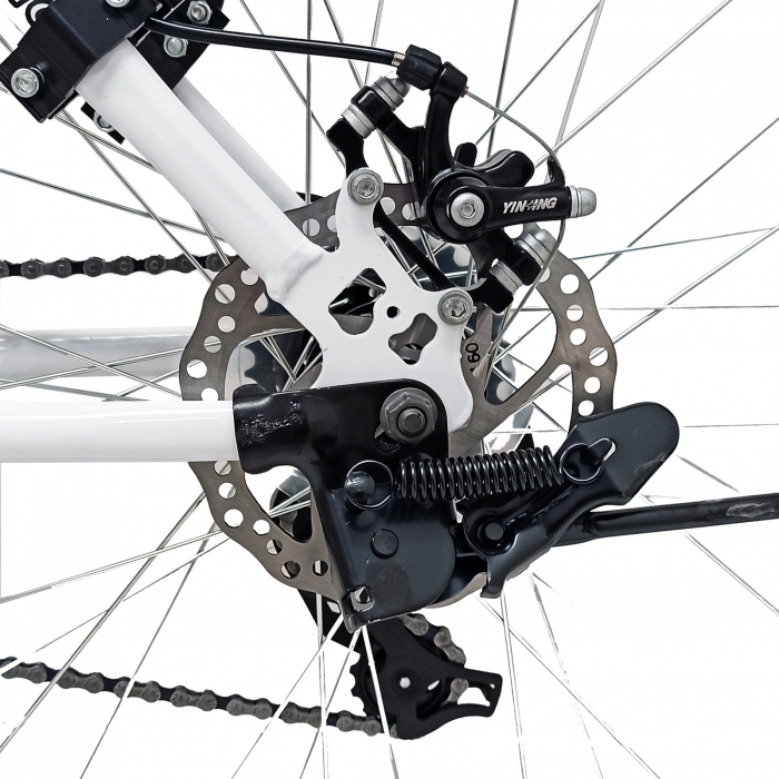 Bicicleta MTB-Target 29'', cadru otel 17″, frane disc, manete secventiale, 21 viteze, Alb [8]