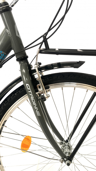 Bicicleta Oras 26 Inch, Gri/Albastru [5]