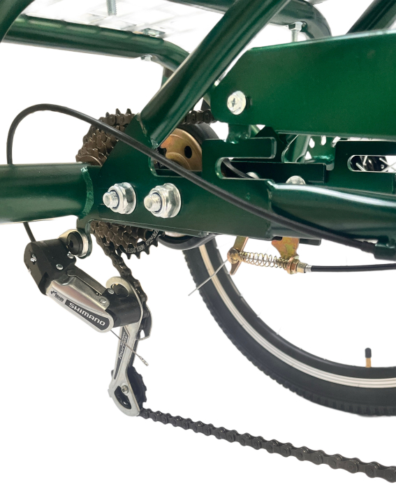 tricicleta pt adult roti  24''  Verde MATT [8]