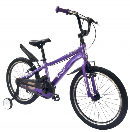 Bicicleta BR S2002 Neptune 20'' single viteze, varsta 6-9 ani, Mov [1]