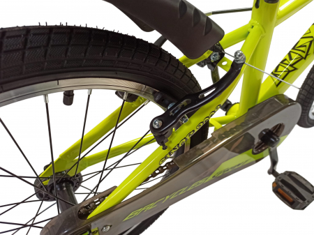 Bicicleta BR S2002 Neptune 20'' single viteze,varsta 6-9 ani  Verde [6]
