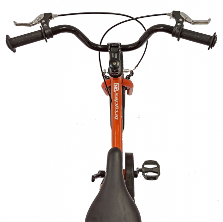 Bicicleta copii 16" BR S1602 Kids Sports, portocaliu, varsta 4-6 ani [4]