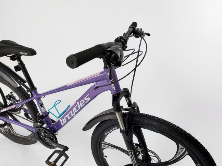 Bicicleta MTB 24″ A2404, cadru Aluminiiu, 21 viteze, Roti magnesium cu Shimano, MOV [9]
