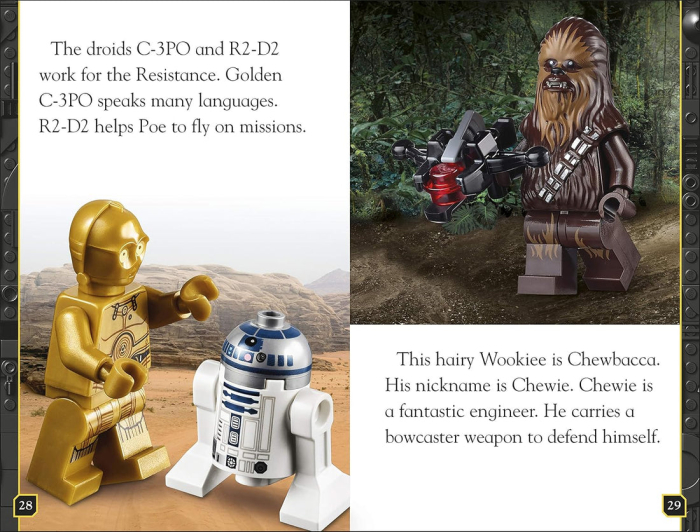 LEGO Star Wars the Rise of Skywalker [4]