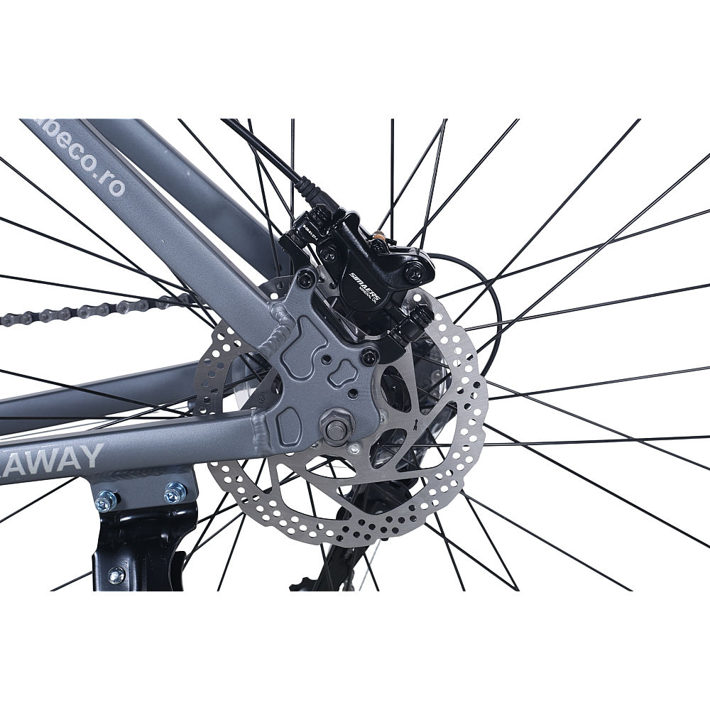 Bicicletă de oraș RDB BDF-SM, roți de 29 inch [16]