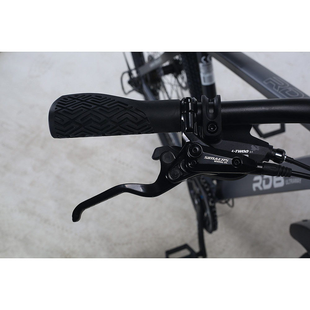 Bicicletă de oraș RDB BDF-SM, roți de 29 inch [18]