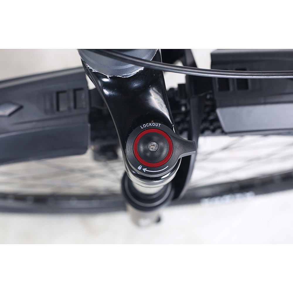 Bicicletă de oraș RDB BDF-SM, roți de 29 inch [19]