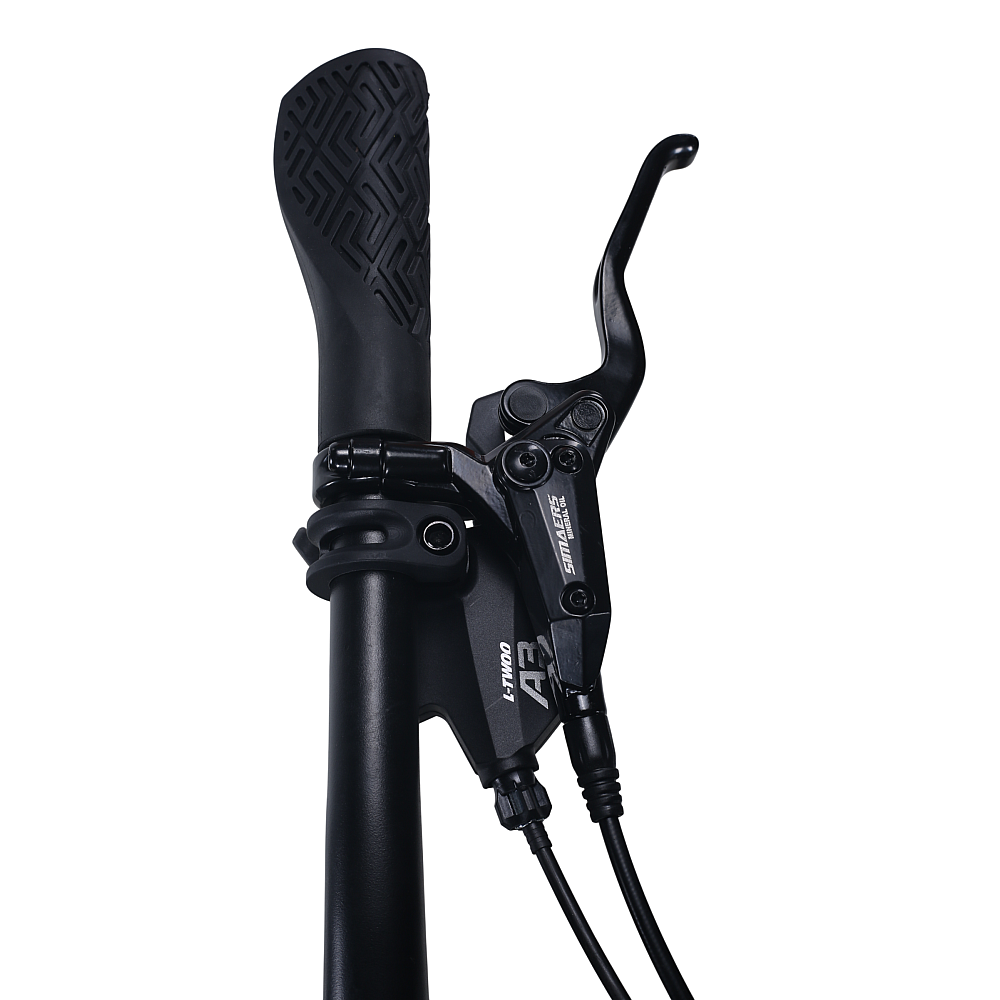 Bicicletă de oraș RDB BDF-SM, roți de 29 inch [10]