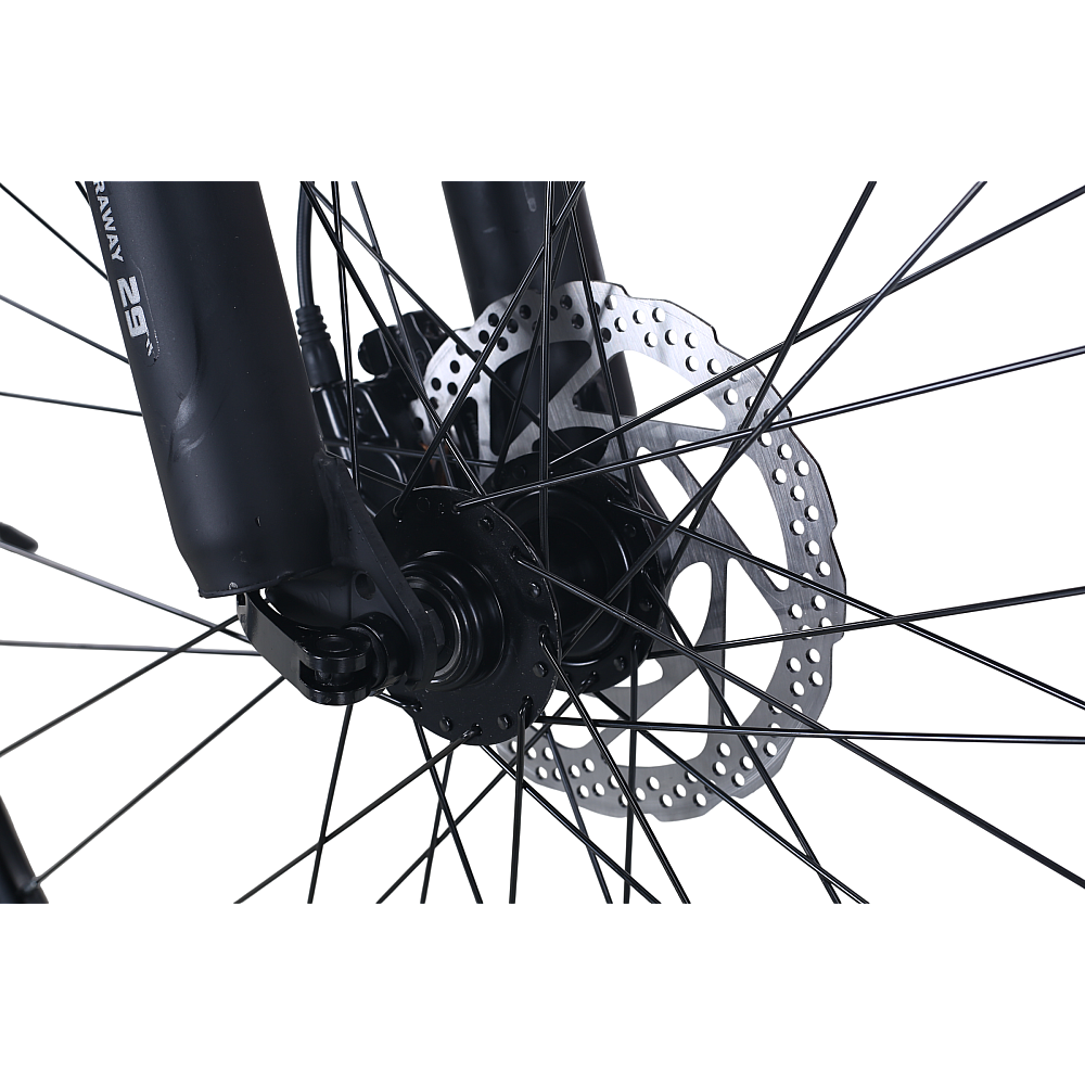 Bicicletă de oraș RDB BDF-SM, roți de 29 inch [11]
