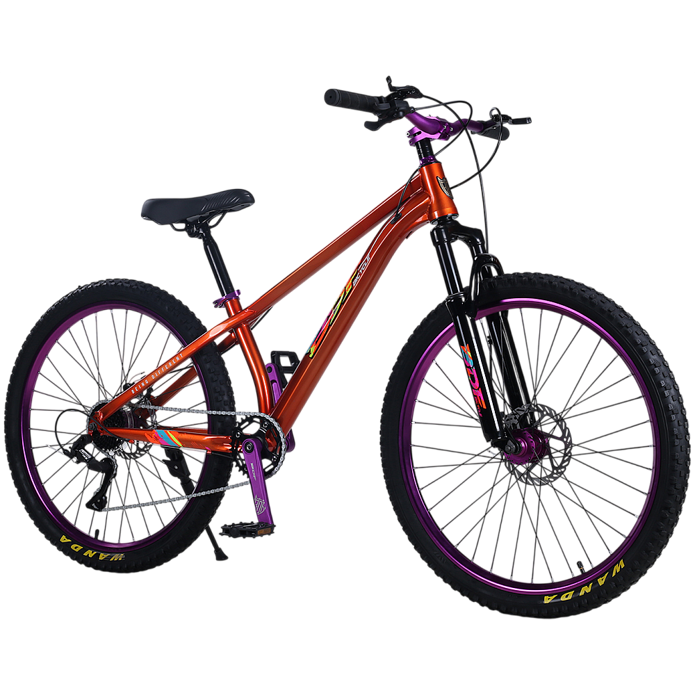 Biciclete 26" - Bicicletă de oraș RDB BDF-TPC, roți de 26 inch
