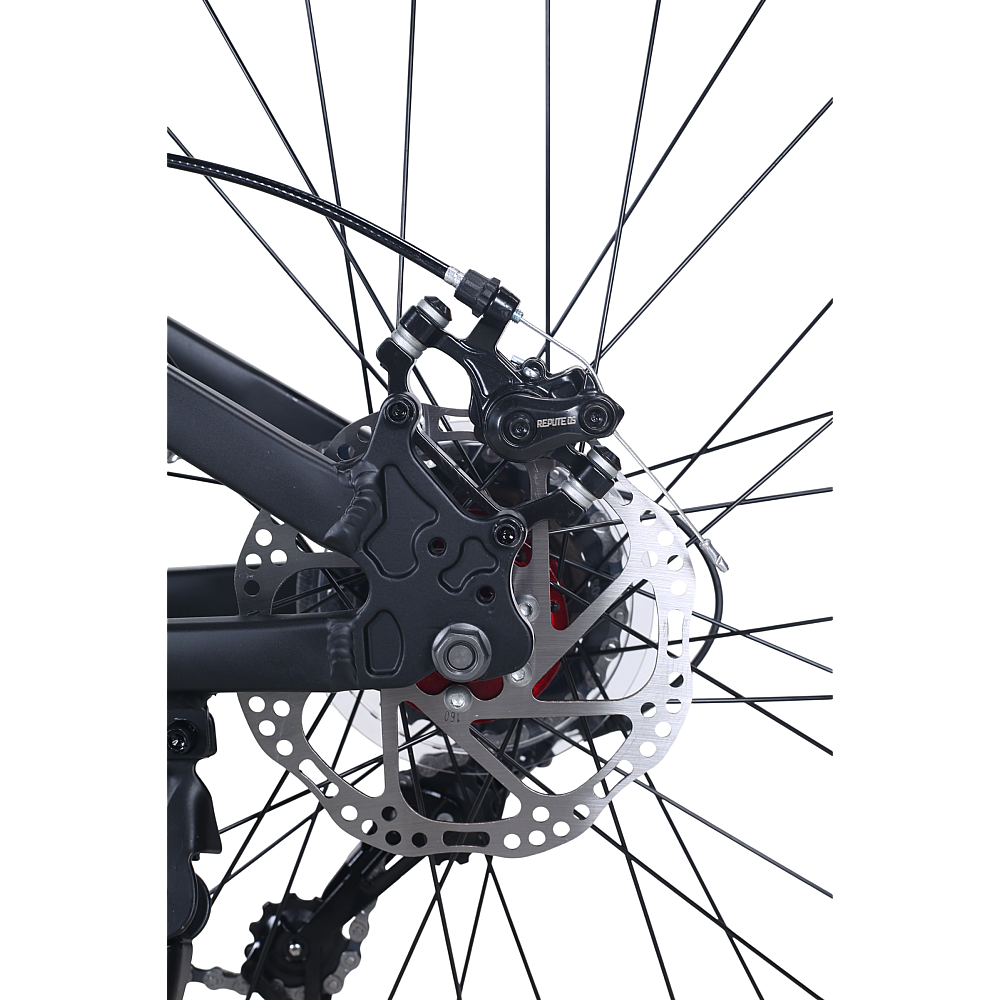 Bicicletă de oraș BDF-TZZ200, roți de 26 inch [20]
