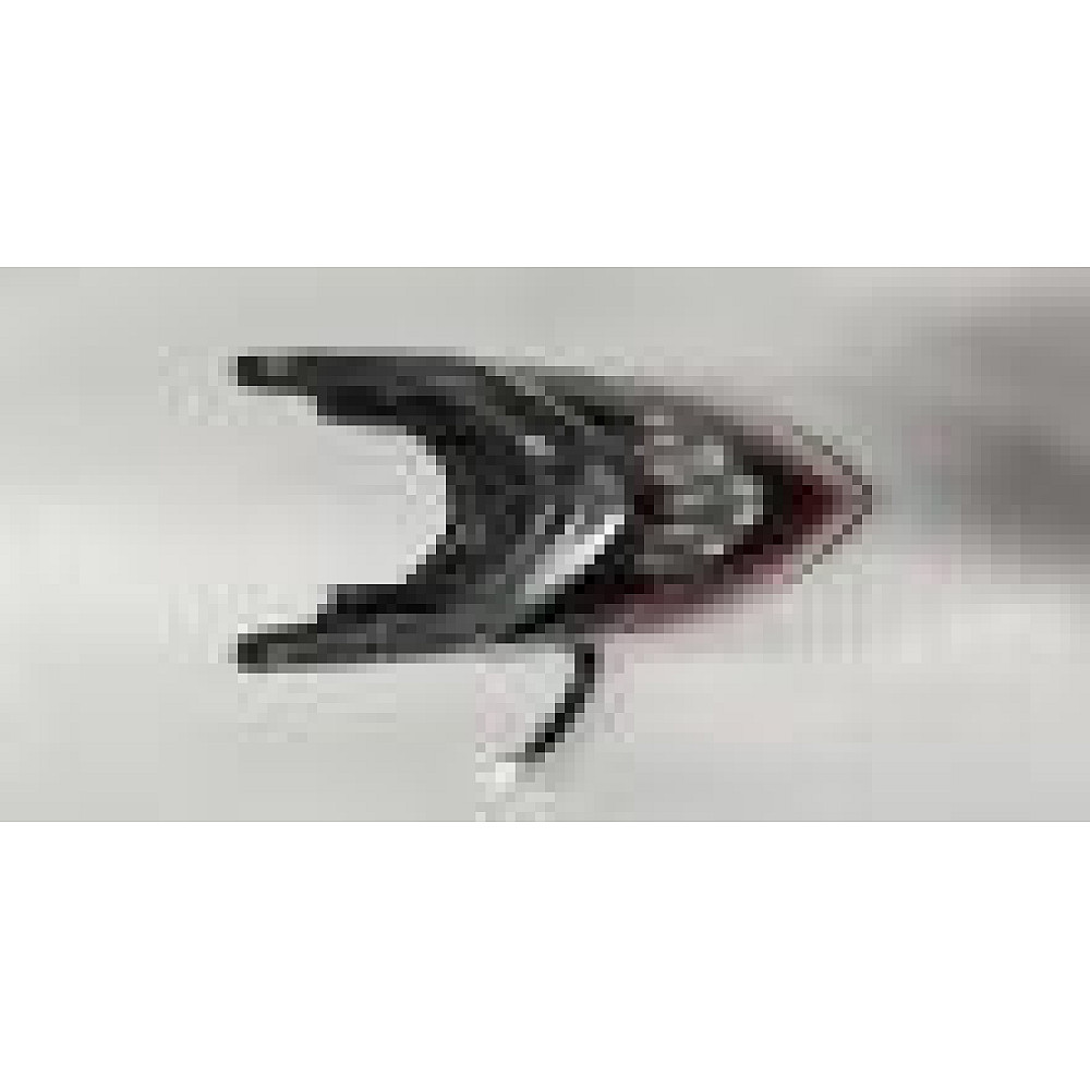 Piese scuter Star - Ansamblu lămpi spate pentru scuter electric RDB Star - piesă originală