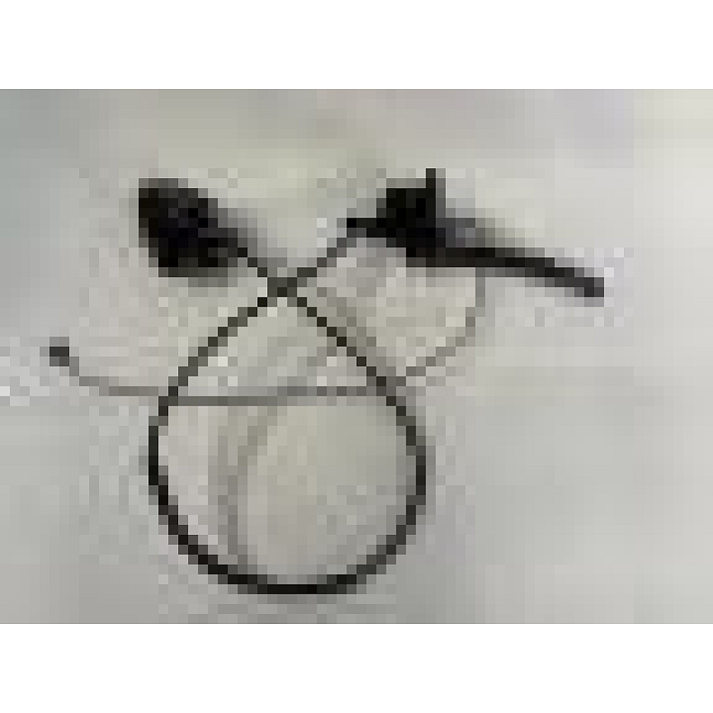 Piese scuter Roma - Pompă frână pe disc pentru scuter electric RDB Roma - piesă originală