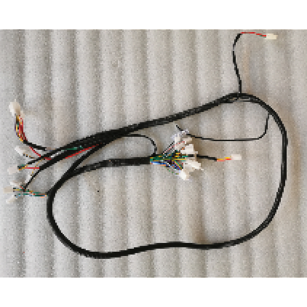 Piese de schimb vehicule electrice - Instalație electrică principală pentru triciclu electric RDB A-Klass4 - piesă originală
