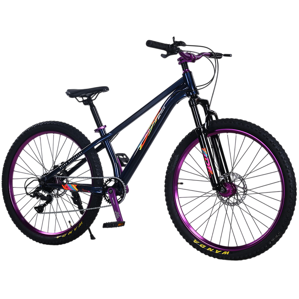 Bicicletă de oraș RDB BDF-TPC, roți de 26 inch [3]